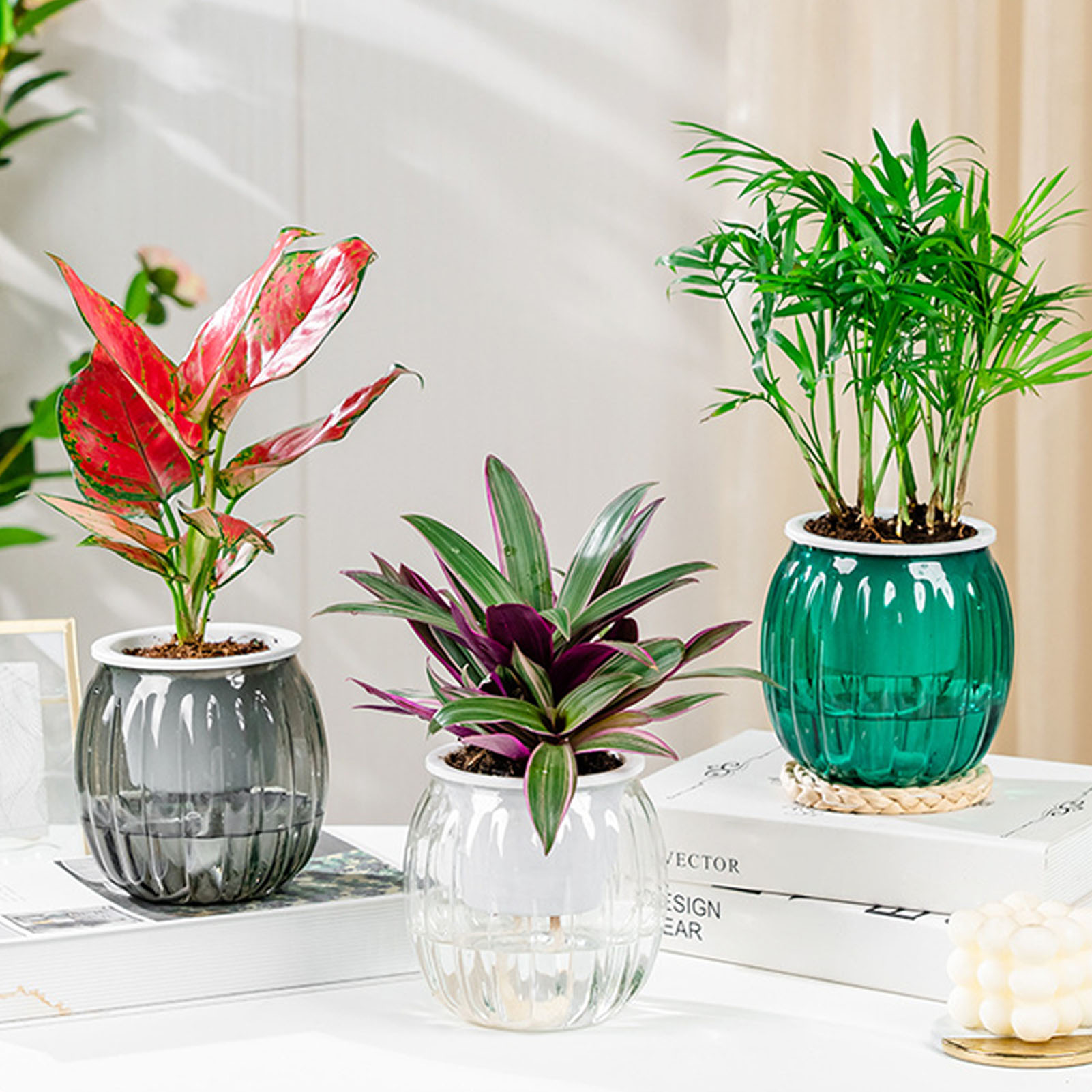 Self Watering Flowerpot Hydrop - Self Watering Insert ulasan dan harga