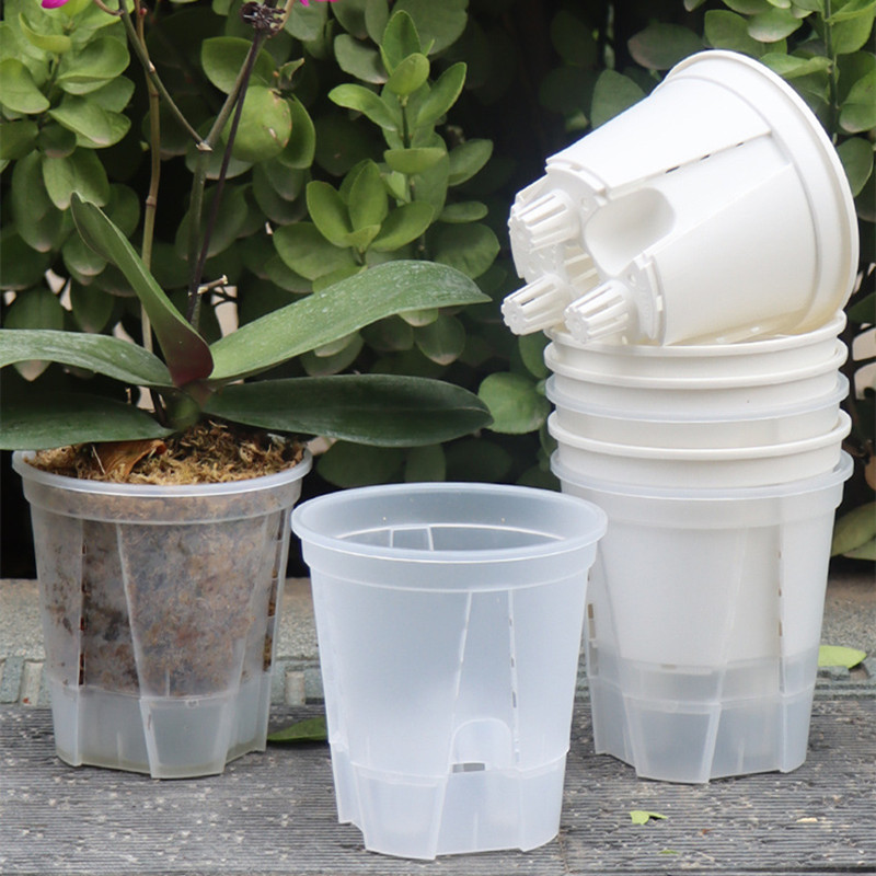 5pcs Transparent Orchid Pot wi - Self Watering Insert ulasan dan harga