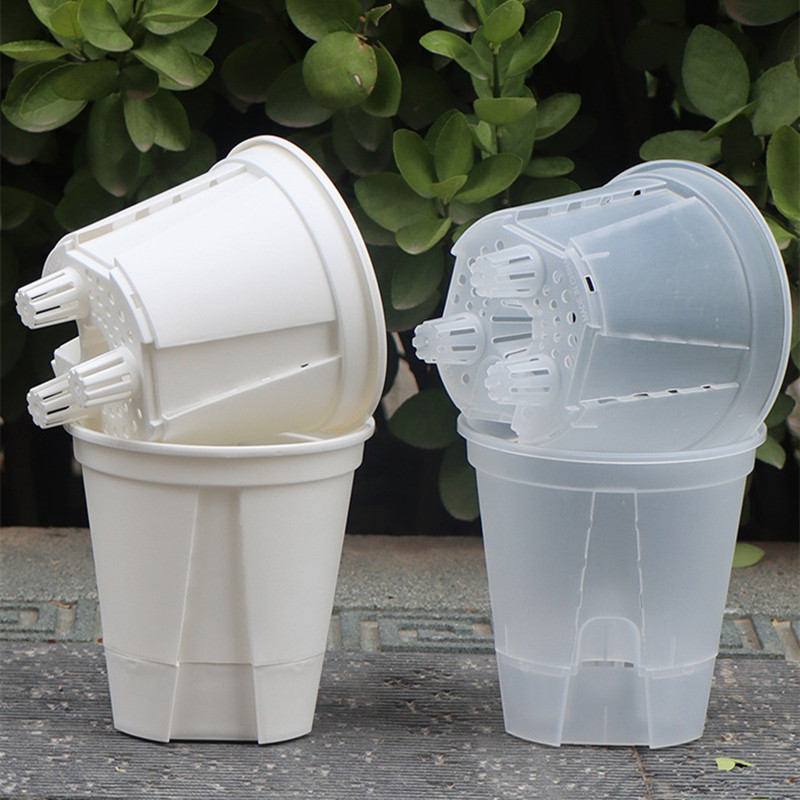 5pcs Transparent Orchid Pot wi - Self Watering Insert ulasan dan harga